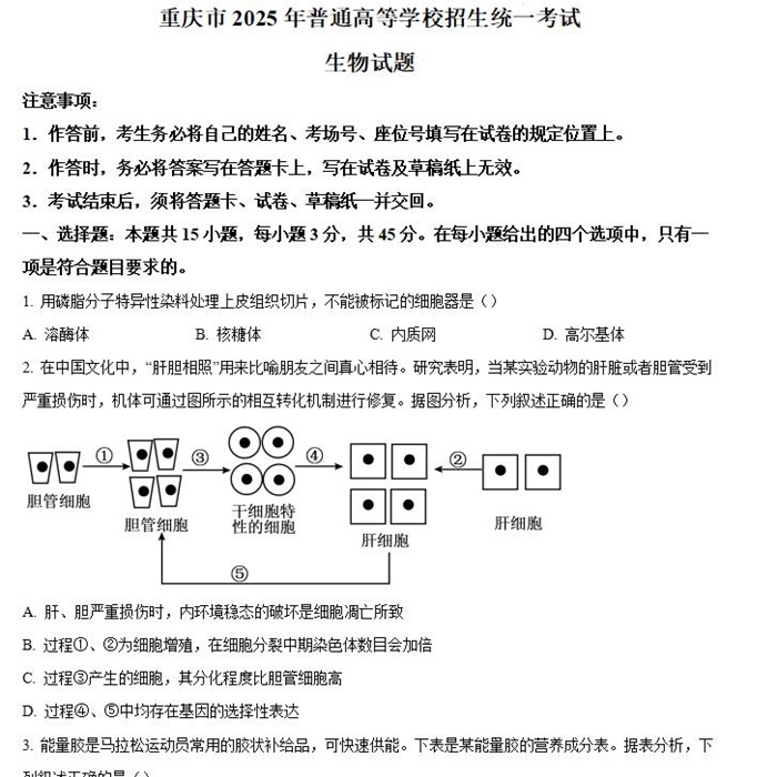 2025年重庆高考生物高考真题答案解析.docx+pdf格式下载-笨小虎 2025年重庆高考生物高考真题答案解析.docx+pdf格式下载