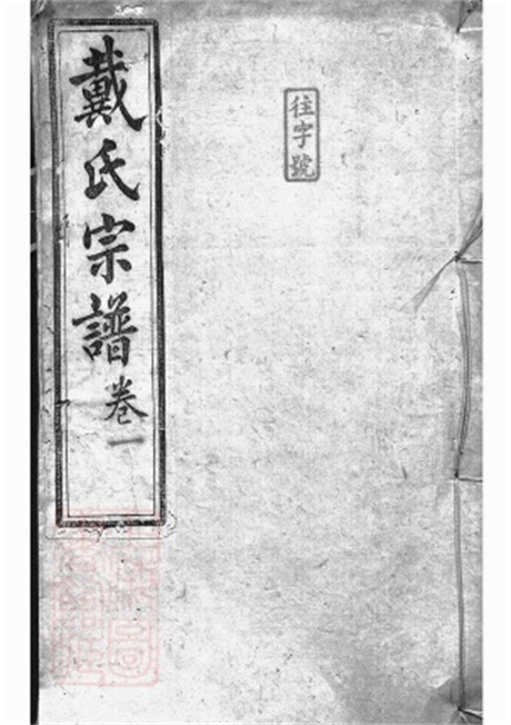 3965.绩溪县东关戴氏宗谱： 九卷，首一卷.pdf无水印高清版86.71MB-笨小虎