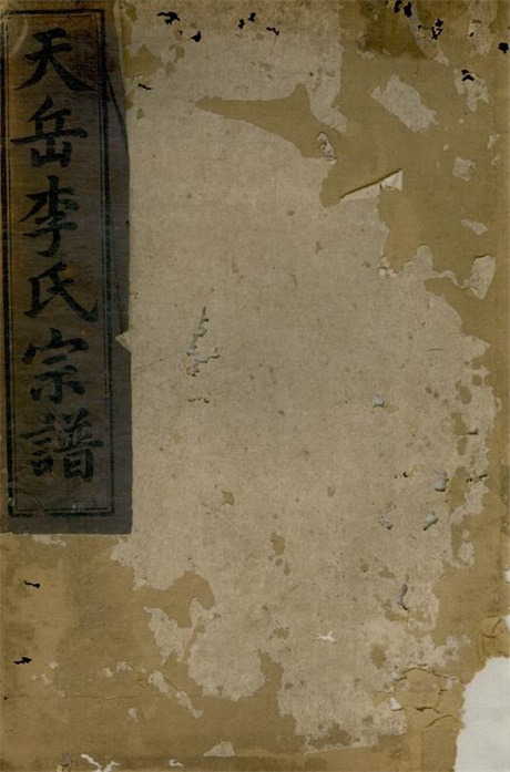 5954.天岳李氏宗谱： 三十卷，首一卷：[平江].pdf无水印高清版140.39MB-笨小虎