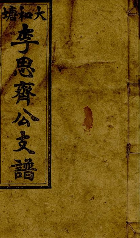 6006.大和塘李思齐公支谱： [邵阳].pdf无水印高清版28.57MB-笨小虎