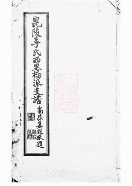 6049.毗陵李氏西里桥派支谱: 不分卷.pdf无水印高清版5.69MB-笨小虎