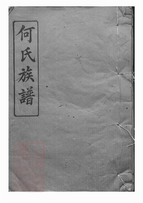 6588.岳阳坪桥河何氏族谱： 十卷.pdf无水印高清版161.84MB-笨小虎