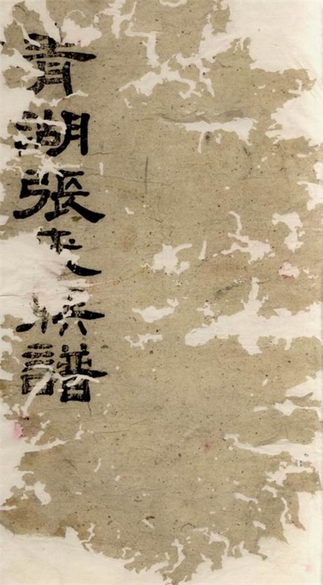 7892.青湖张氏族谱： 三十四卷，首一卷：[华容].pdf无水印高清版346.14MB-笨小虎
