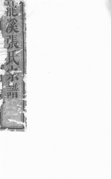 7943.龙溪张氏宗谱： [浦江].pdf无水印高清版58.72MB-笨小虎